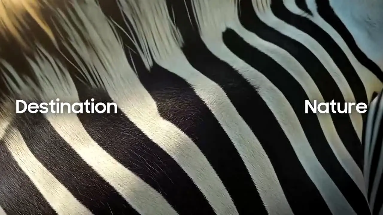 Destination Nature ao vivo