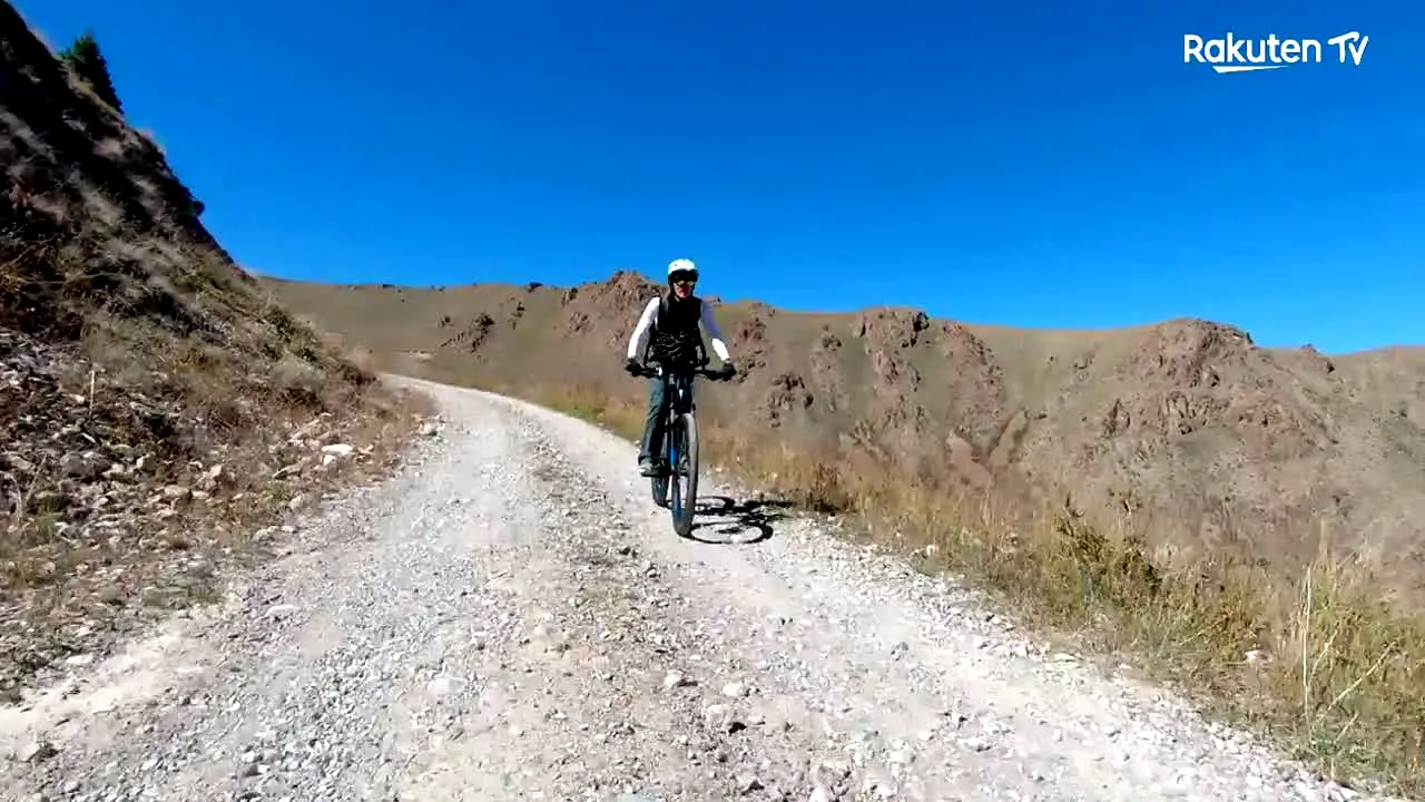 Estilo y Vida en vivo