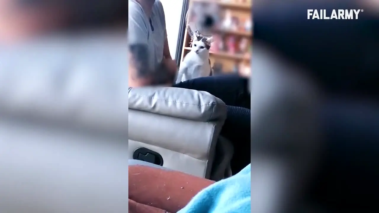 FailArmy live