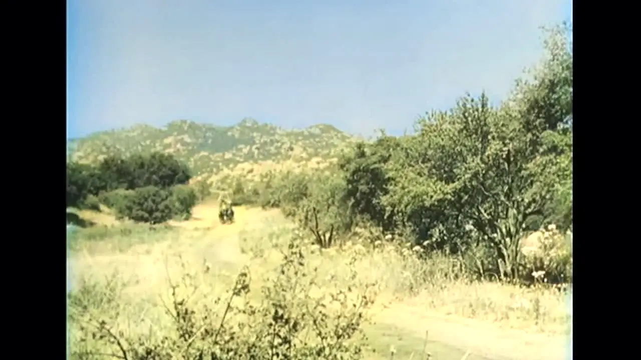 Grjngo live