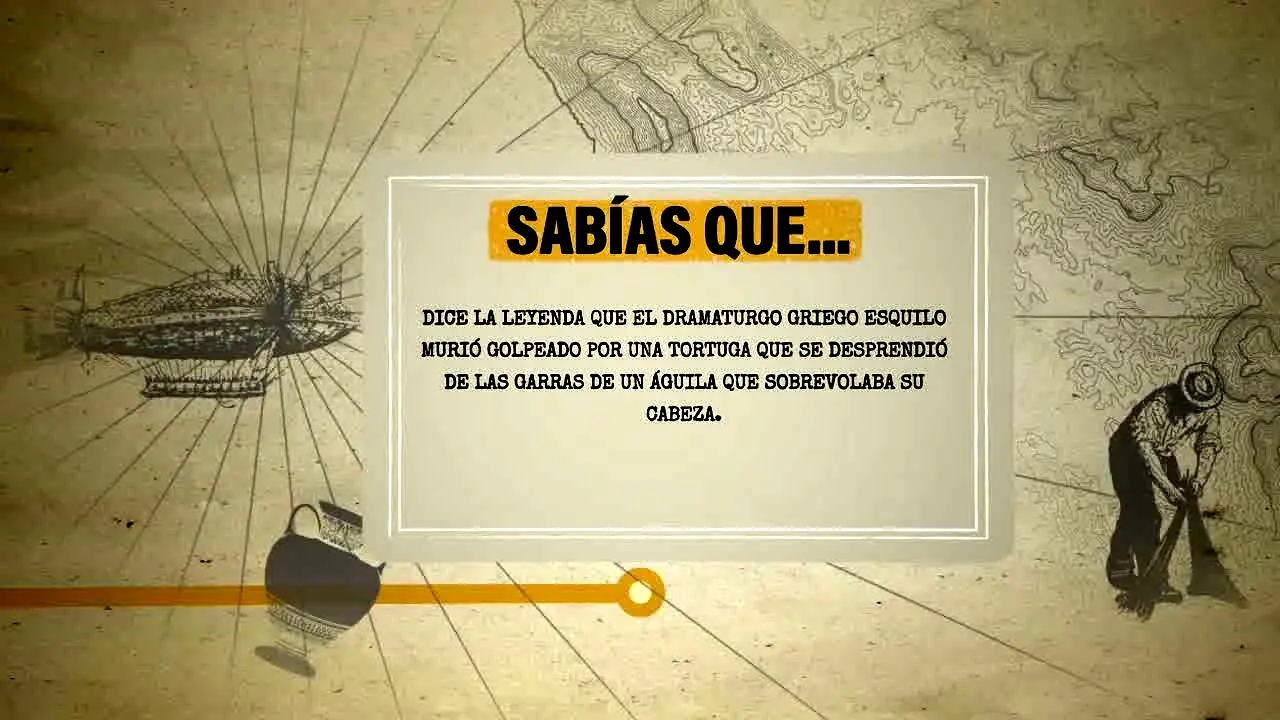 Historia y Vida en vivo