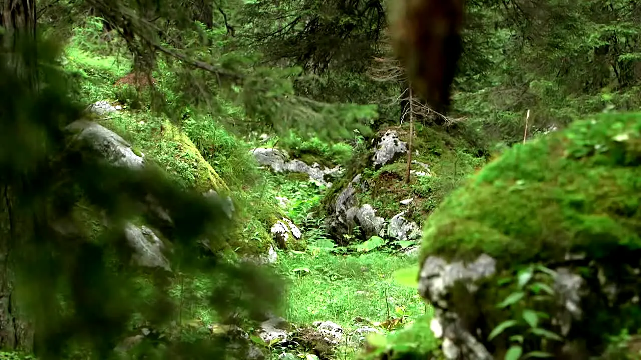 Höhenrausch live