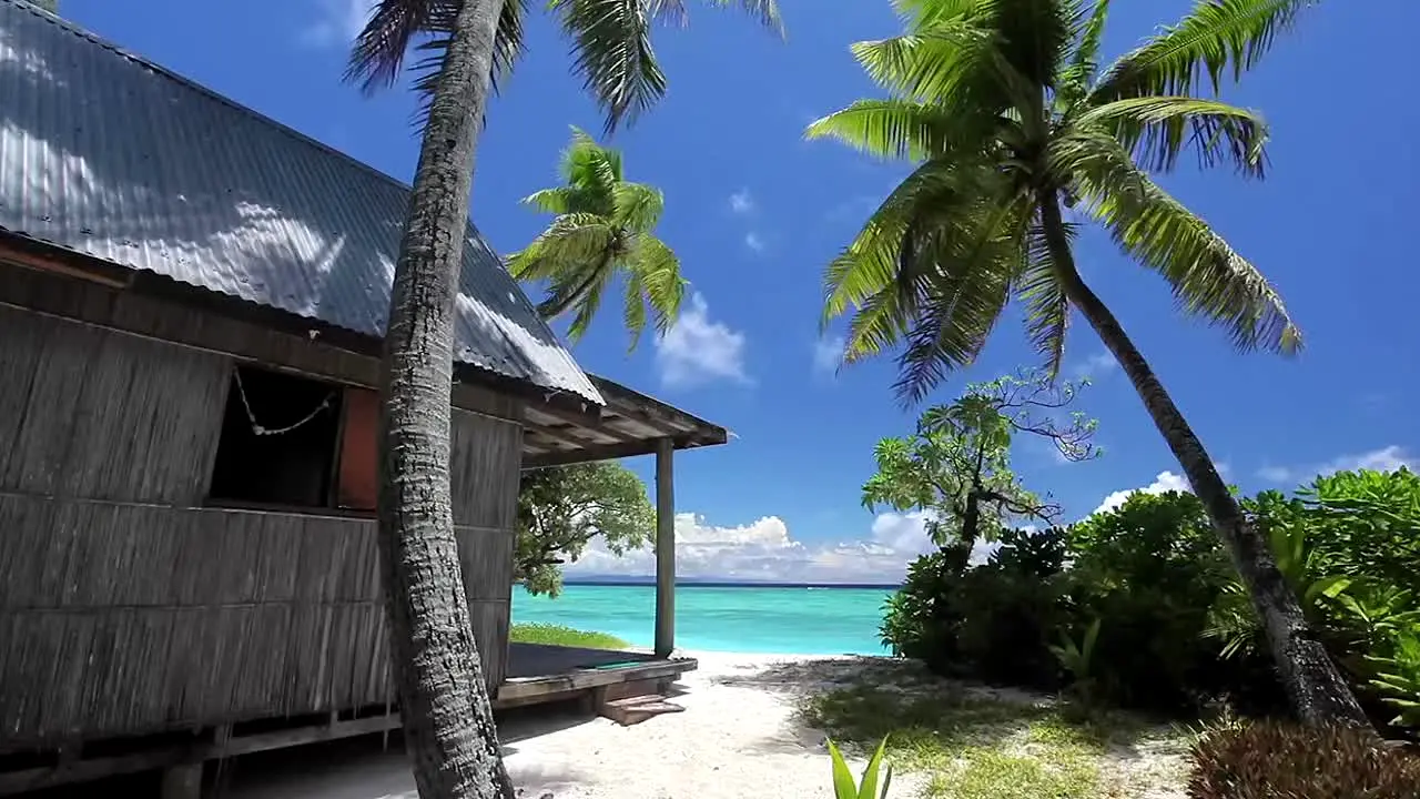 Island Vibes in diretta