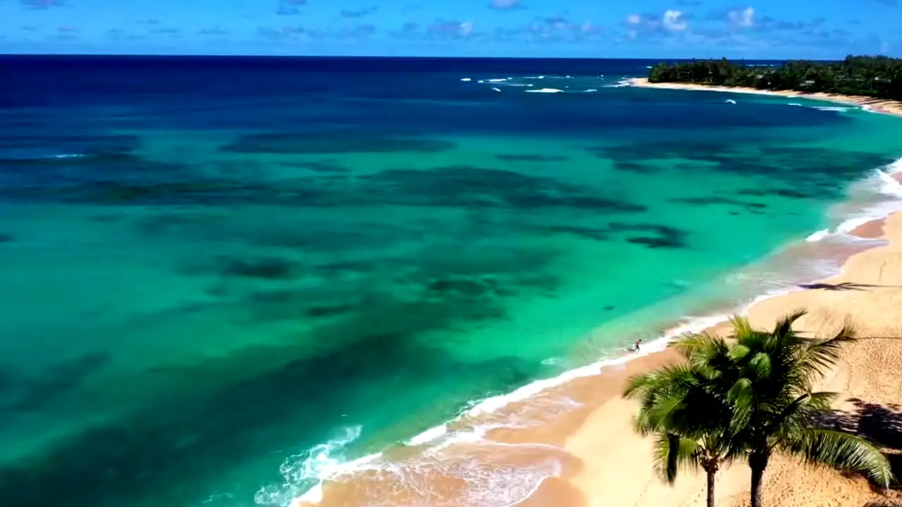 Island Vibes live