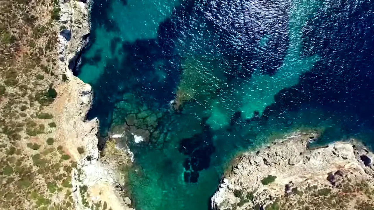Island Vibes live