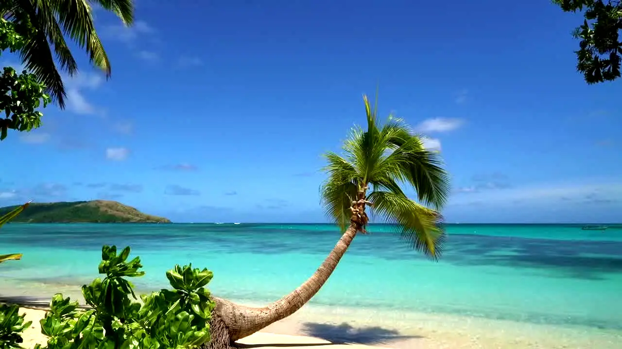 Island Vibes in diretta