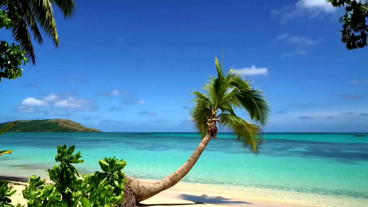 Island Vibes en vivo
