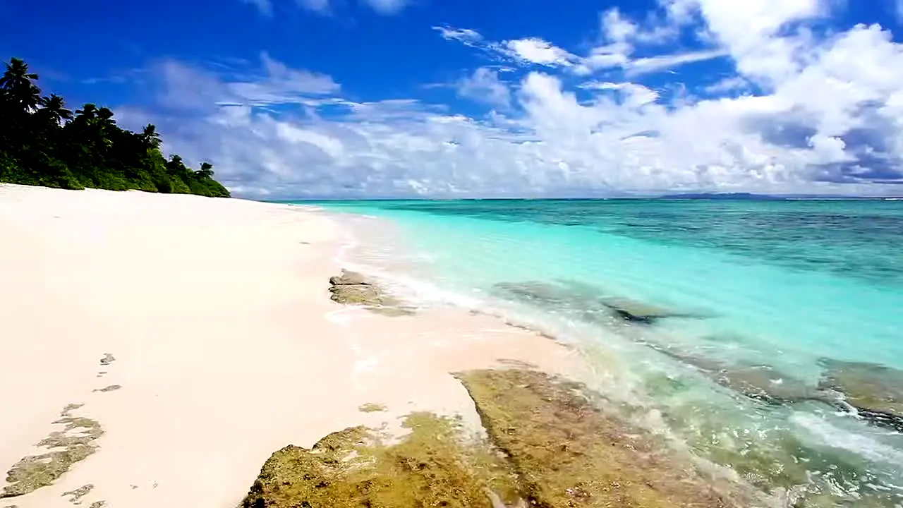 Island Vibes na żywo