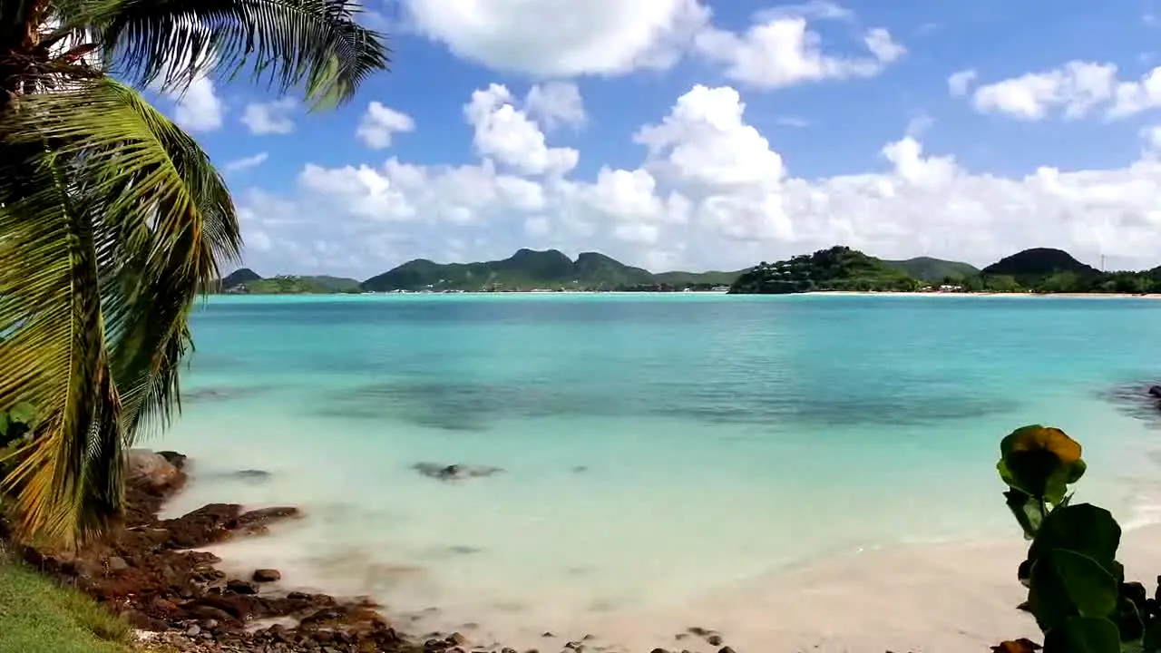 Island Vibes live