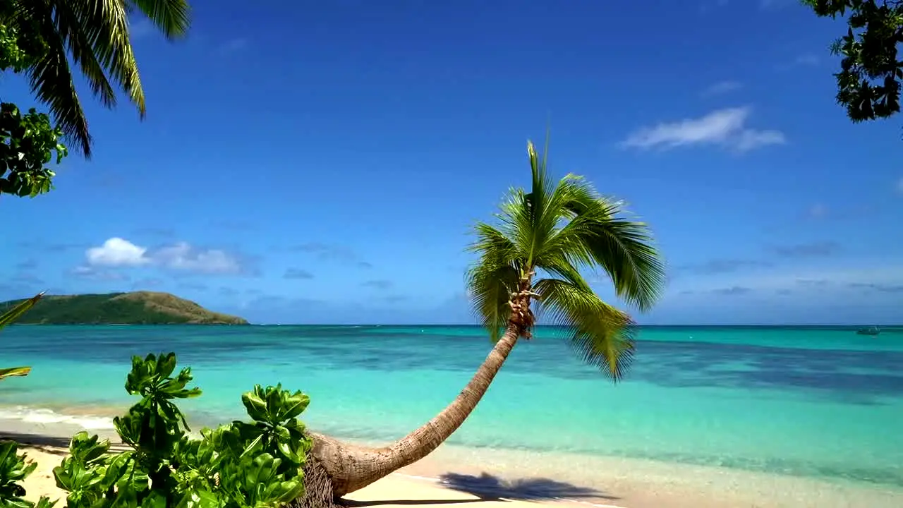 Island Vibes in diretta
