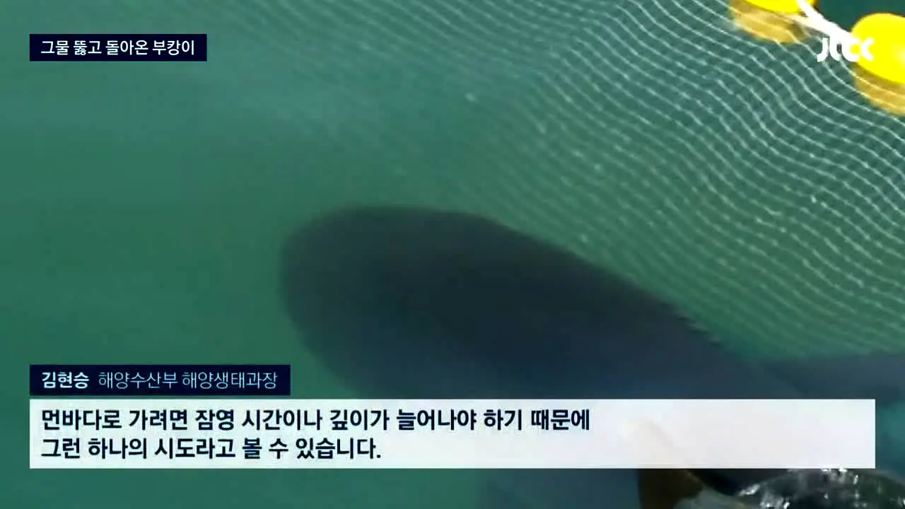 JTBC 뉴스 in diretta