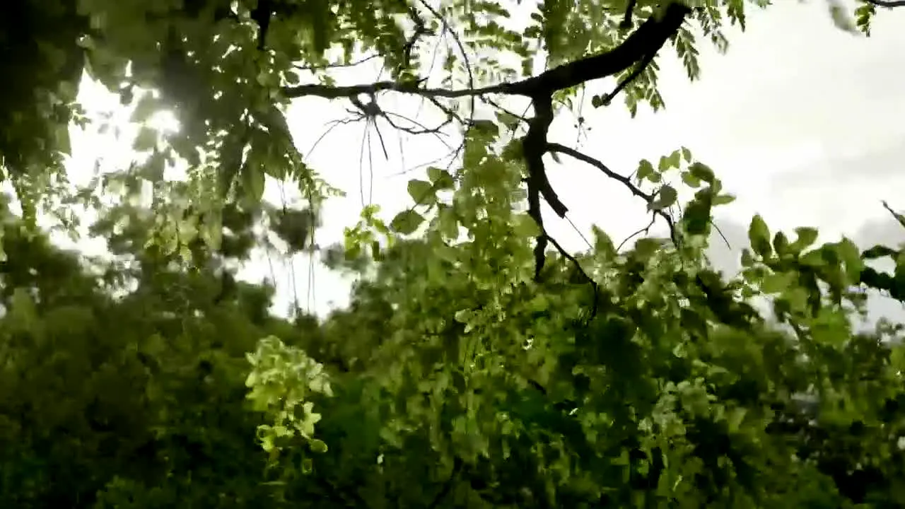 NatureTime en direct