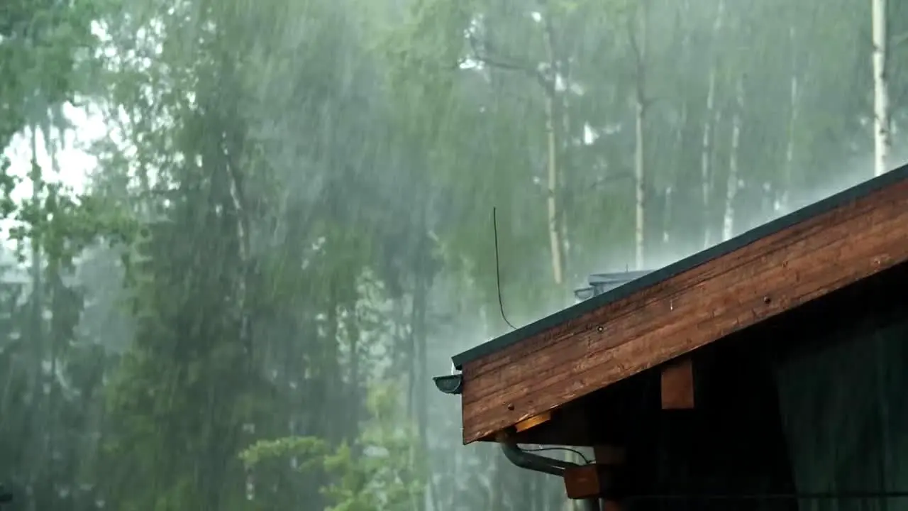 Rainy Day Vibes live