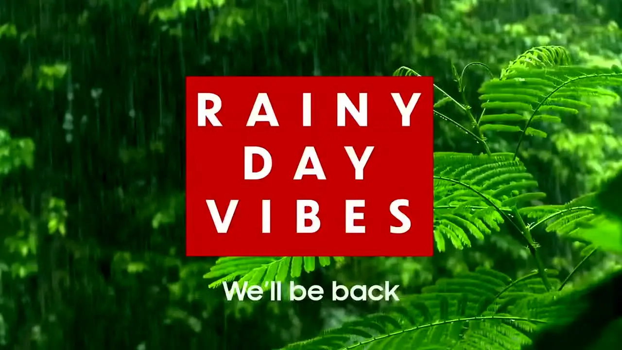 Rainy Day Vibes live