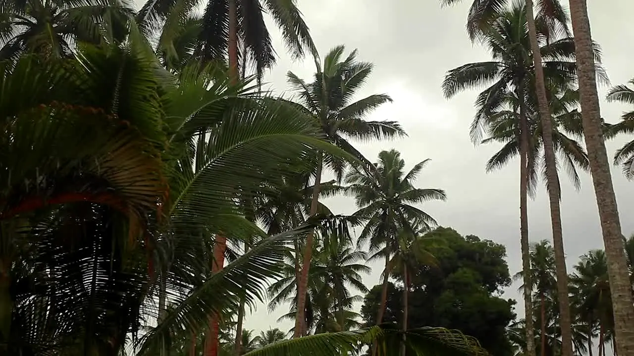 Rainy Day Vibes na żywo