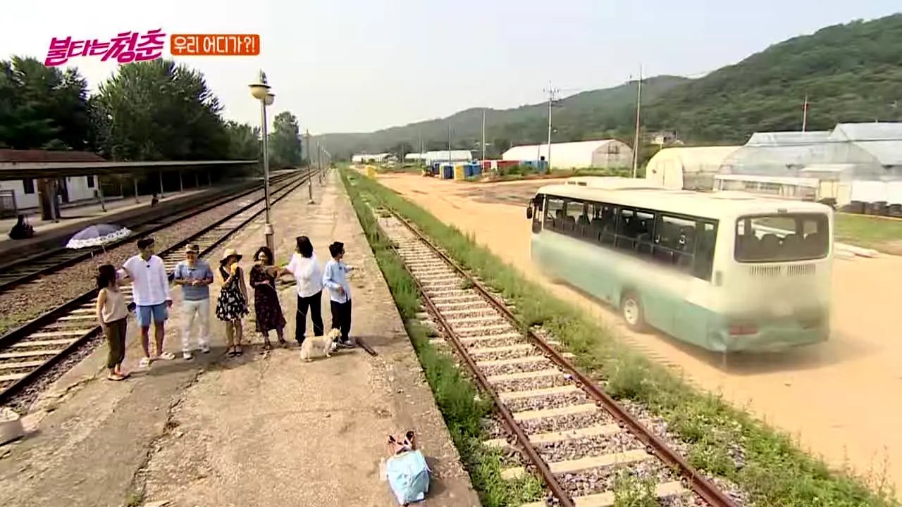 SBS 불타는 청춘 live
