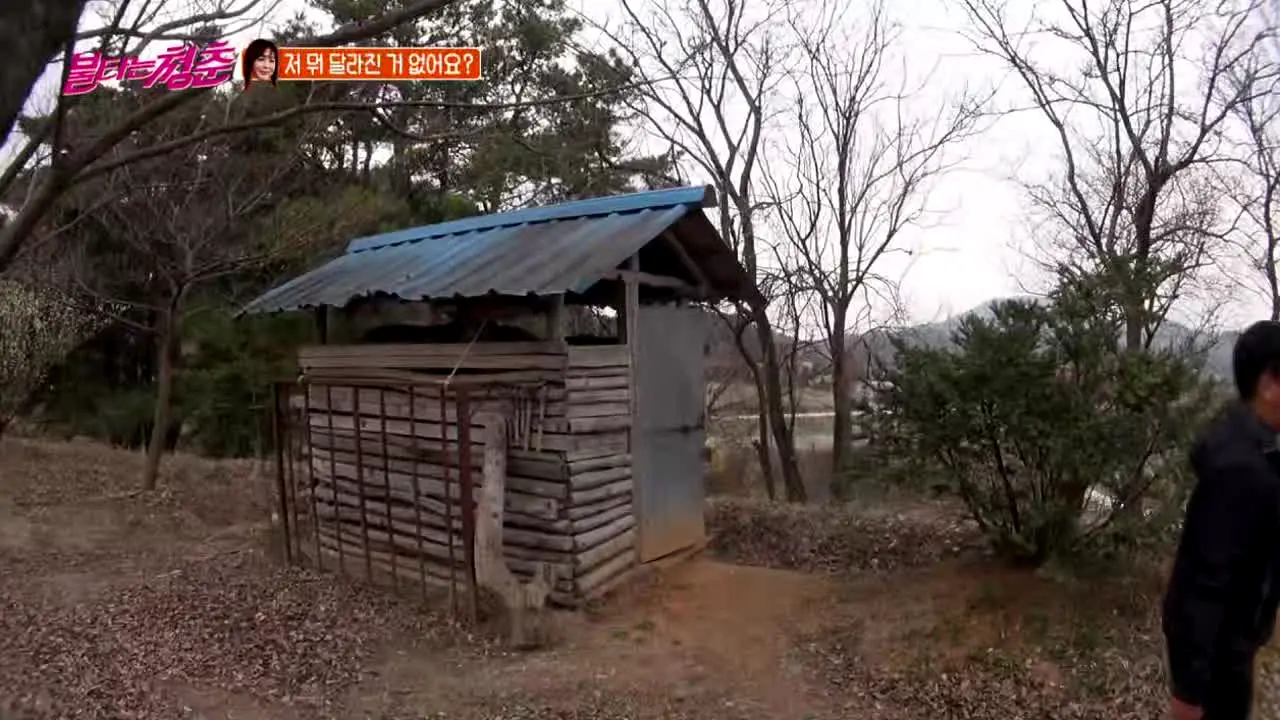 SBS 불타는 청춘 in diretta