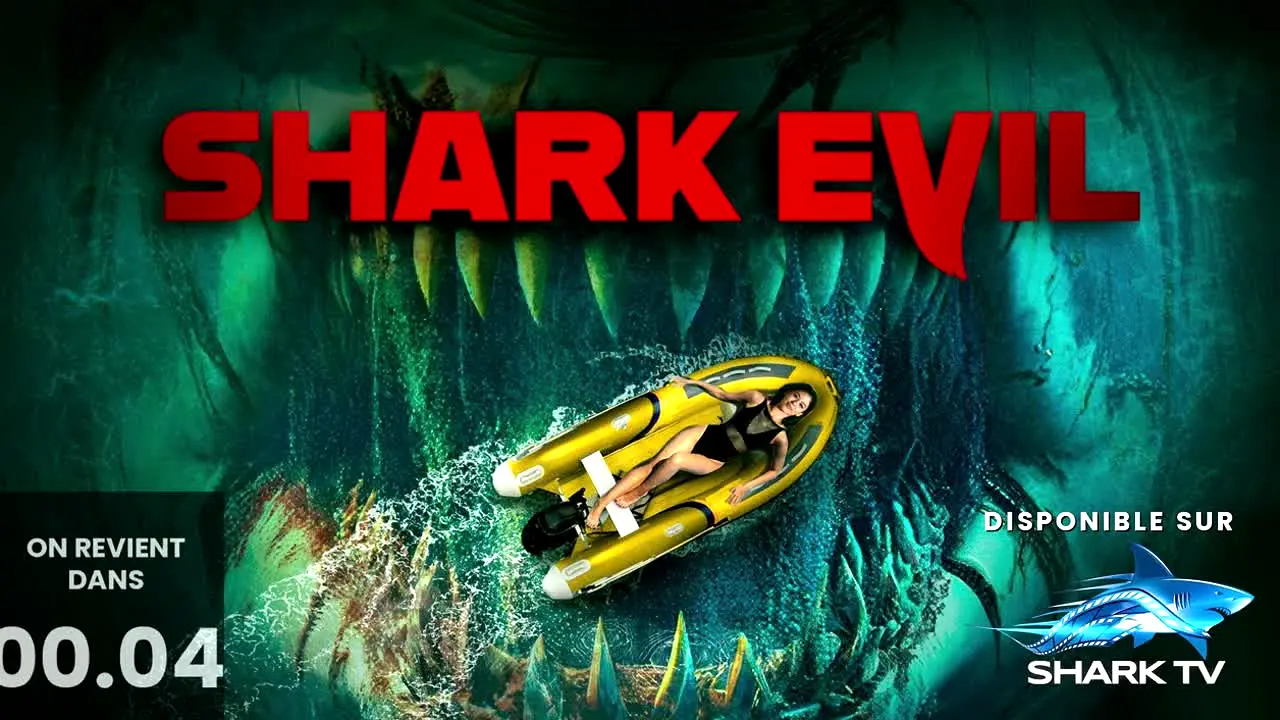 Shark TV in diretta