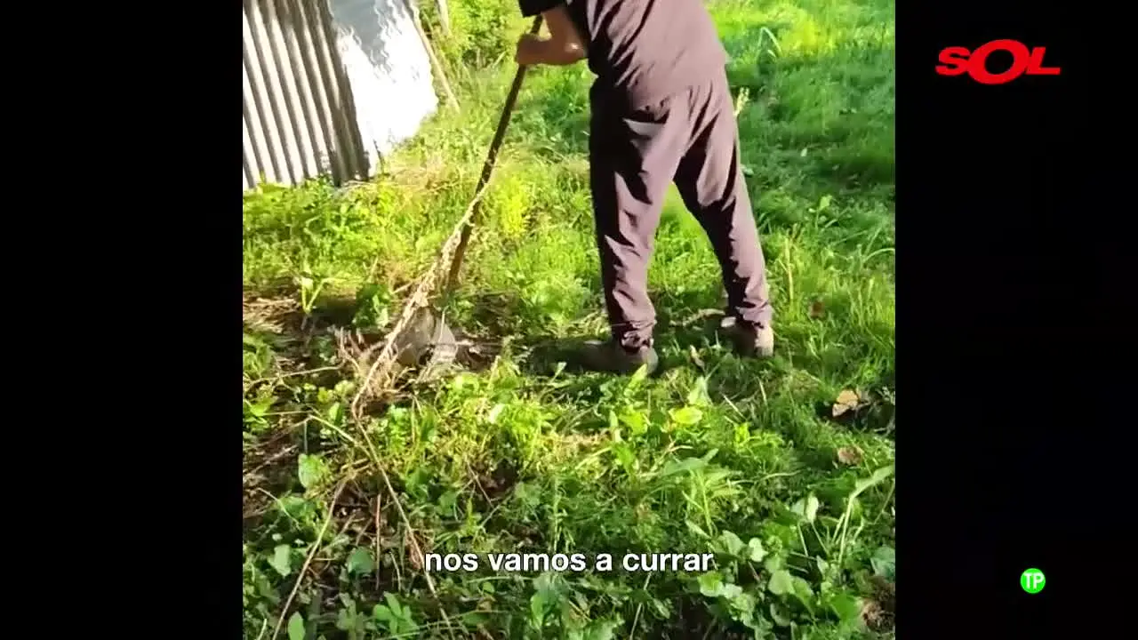 Sol Música live