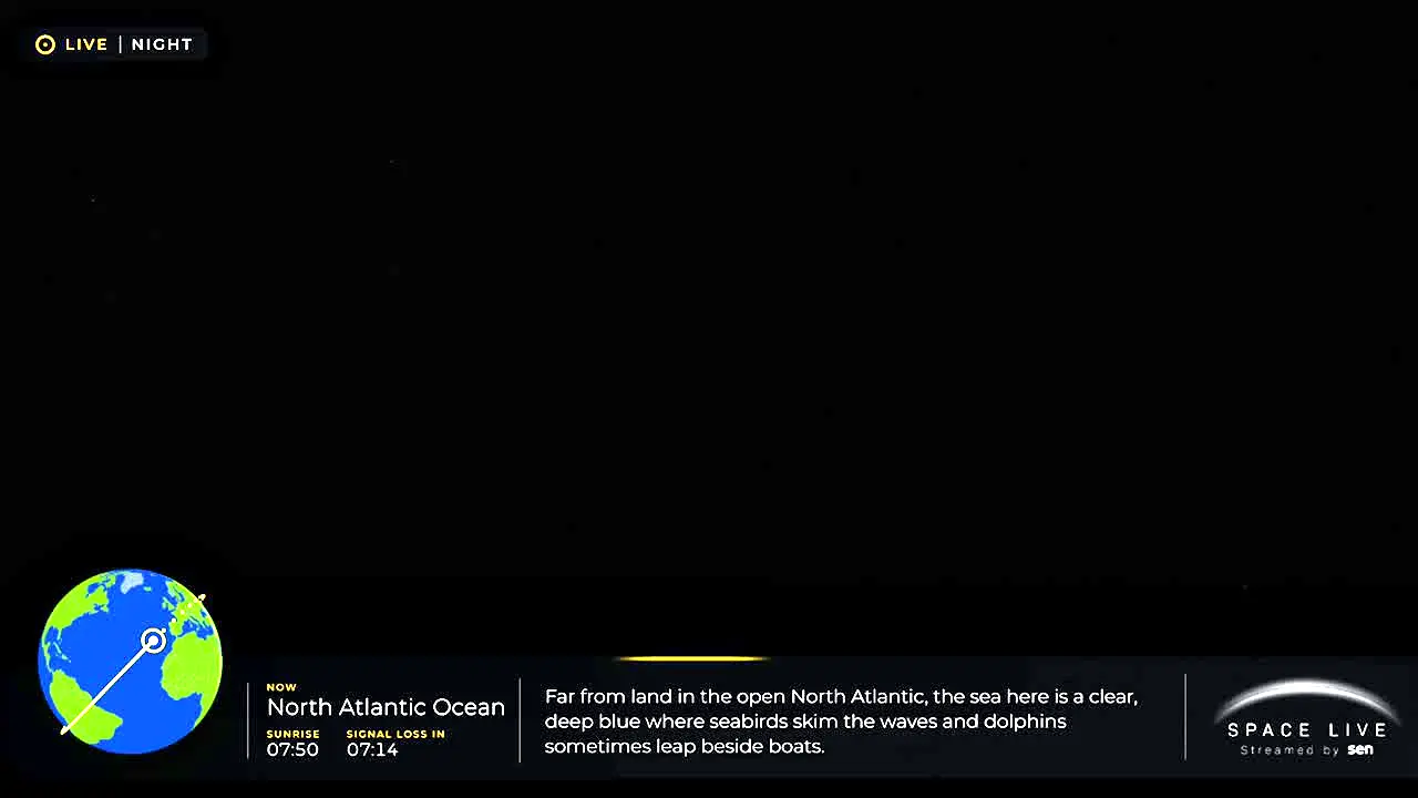 Space Live ao vivo