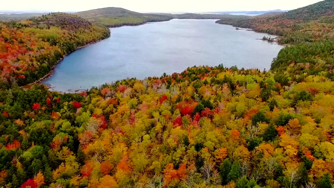 Fall Vibes live