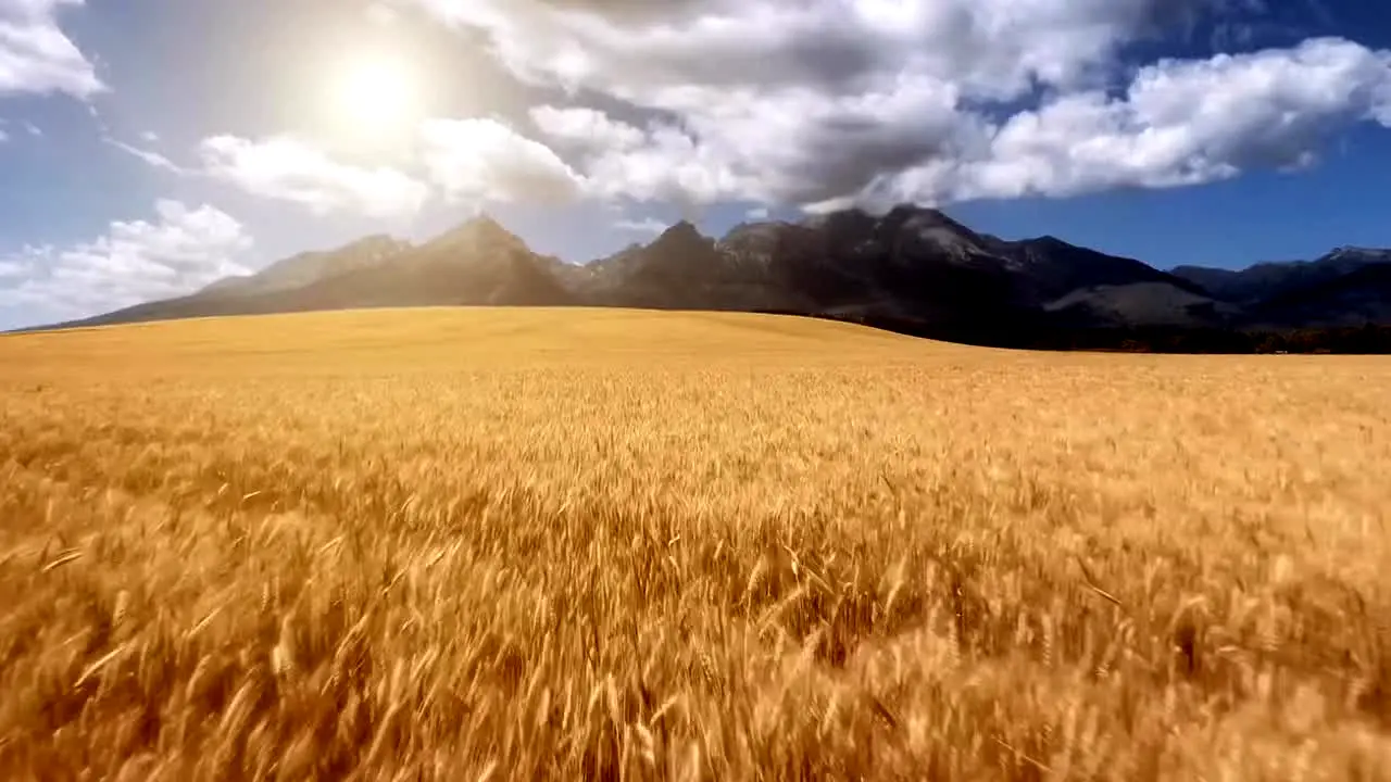 Fall Vibes na żywo