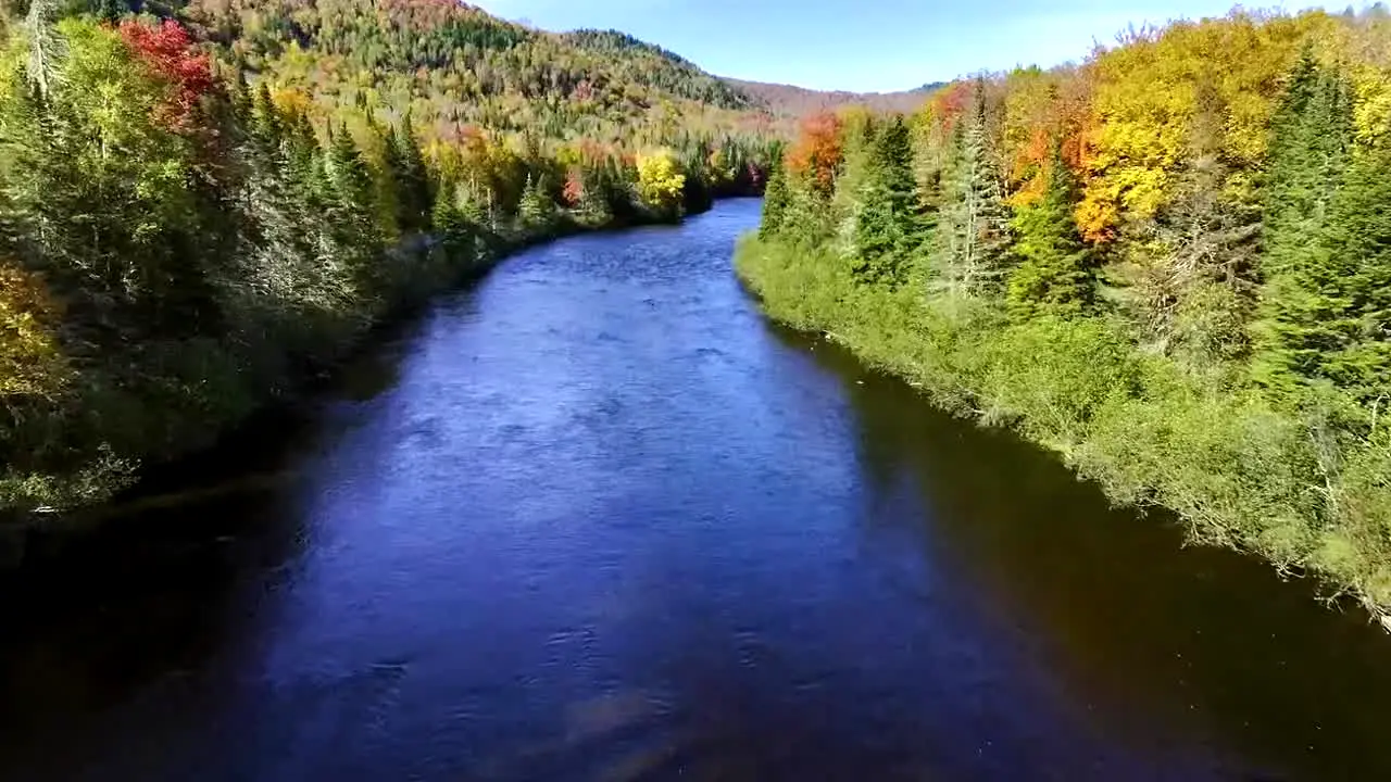 Fall Vibes live