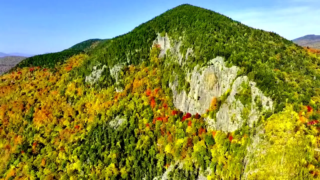Fall Vibes live
