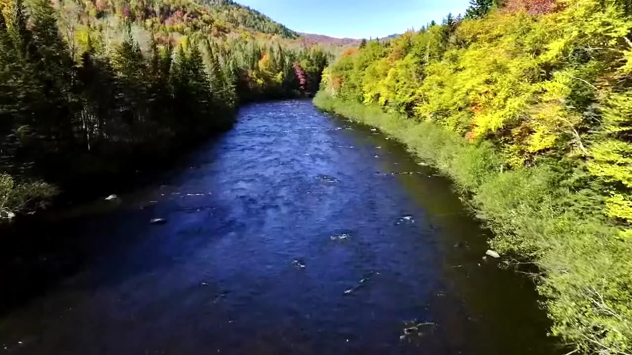 Fall Vibes live