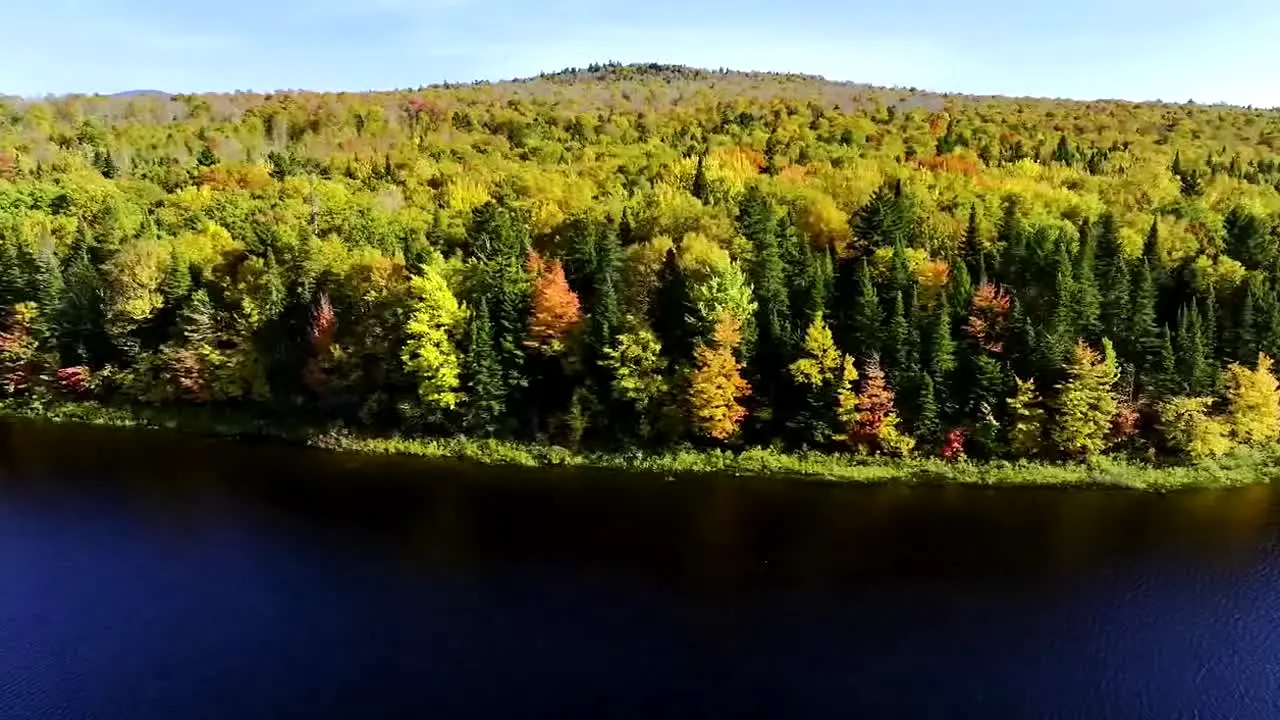 Fall Vibes live