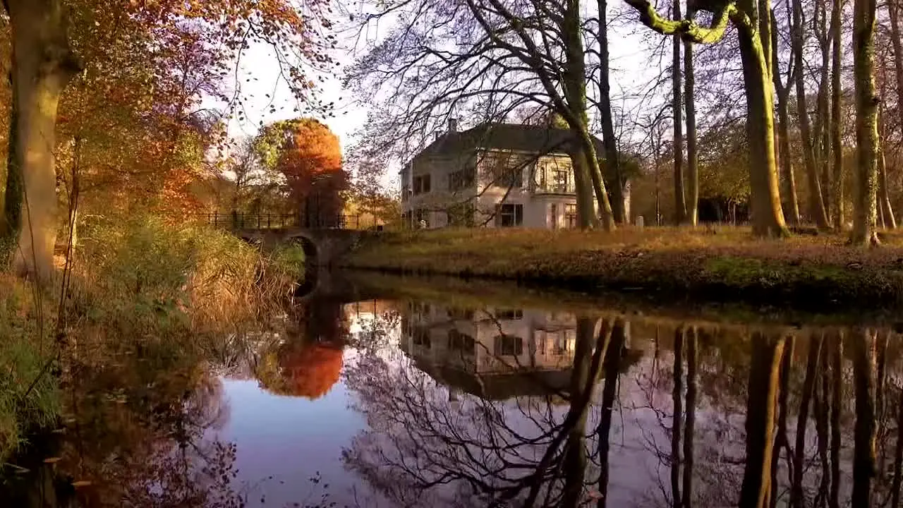 Fall Vibes live