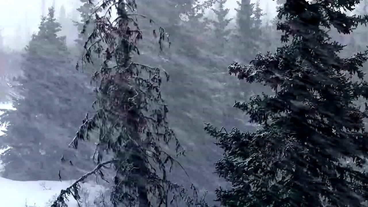 Storm Vibes live