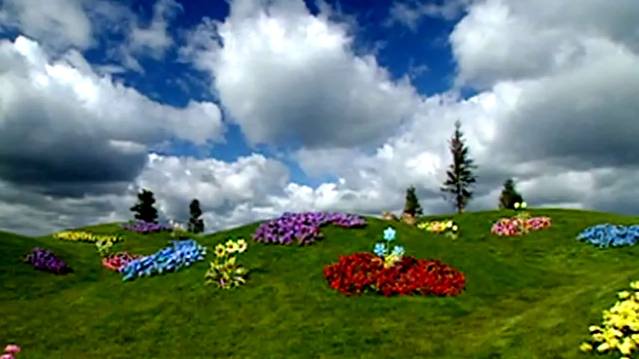 Teletubbies live