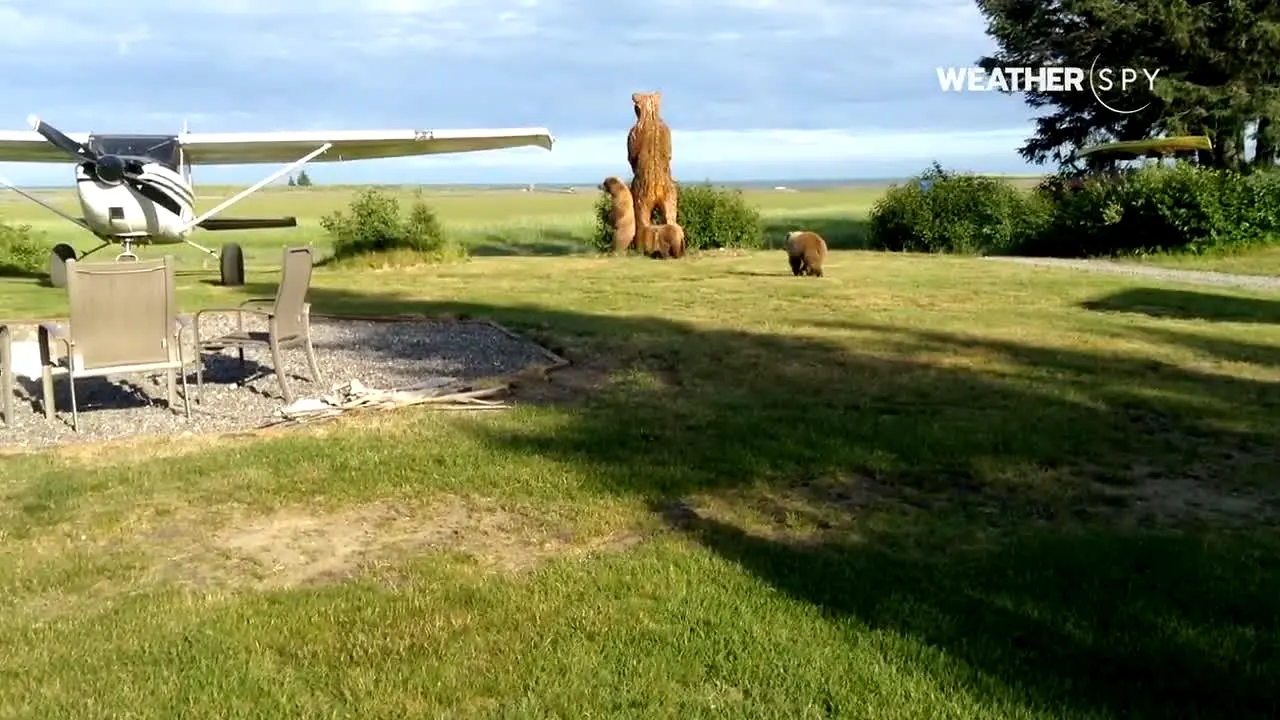 WeatherSpy live