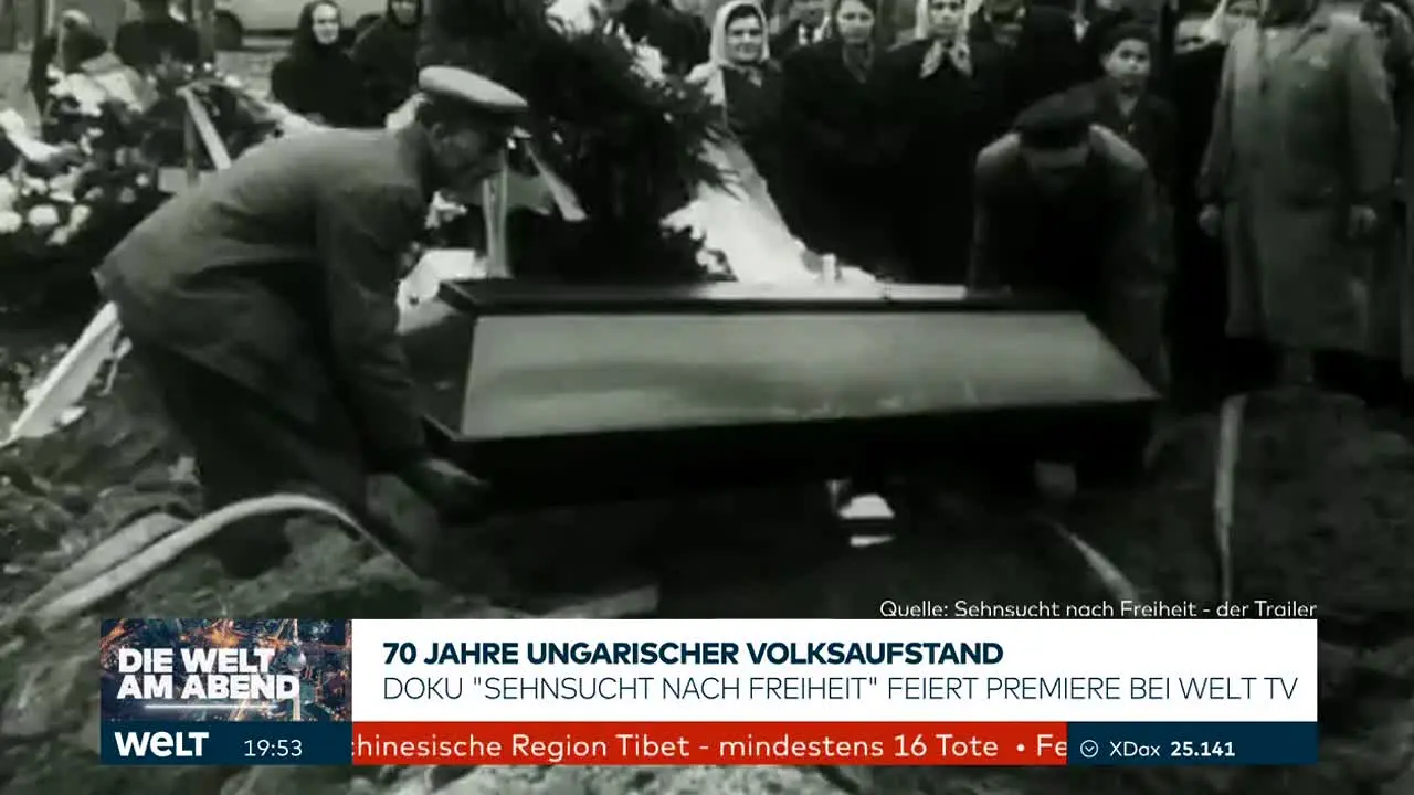 Welt live