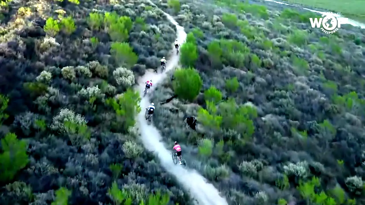 World of Freesports - WoF live