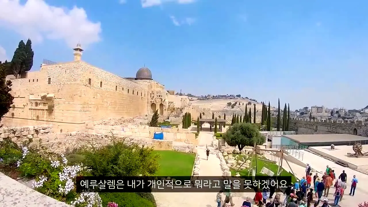 빠니보틀 na żywo