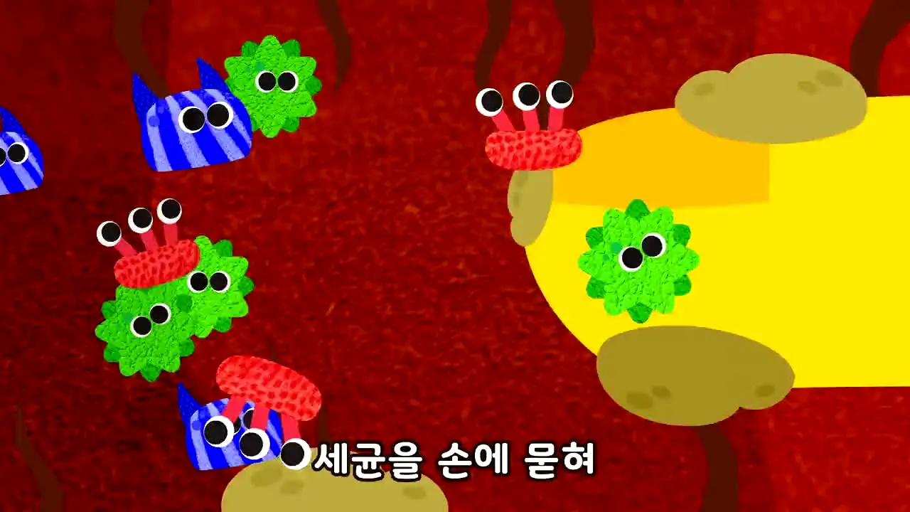 코코비TV live