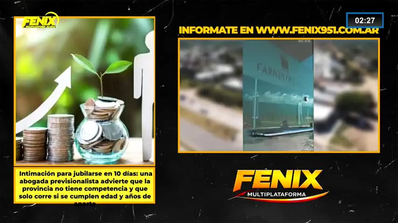Fenix live