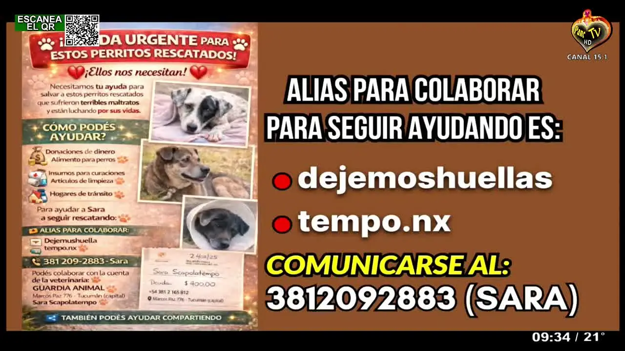 PANC TV · AR live