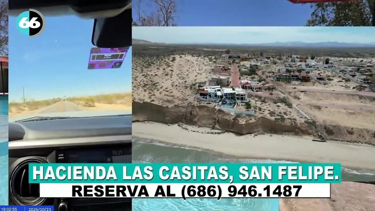 Canal 66 El Canal de las Noticias · MX live
