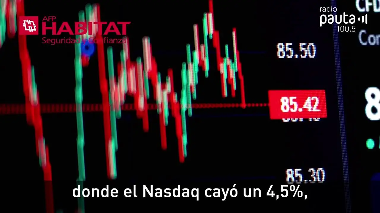 Pauta TV live