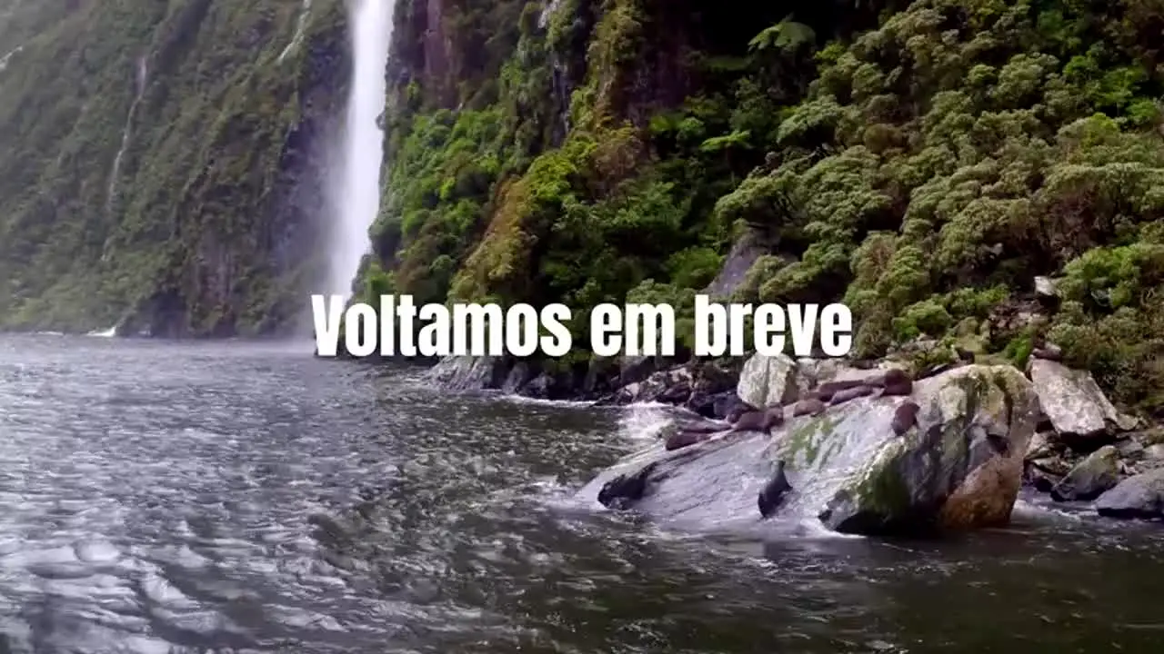 Novela Jesus live