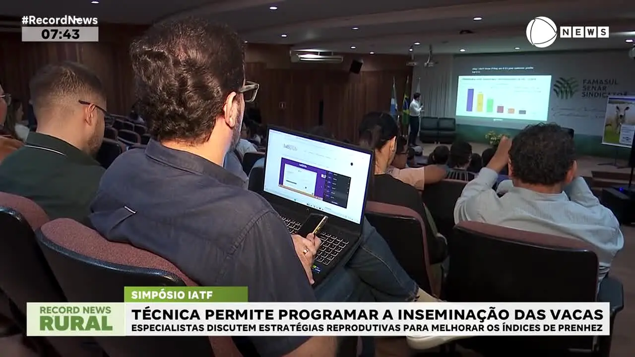 Record News ao vivo