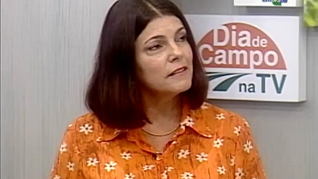 TV Folha do Campo en vivo