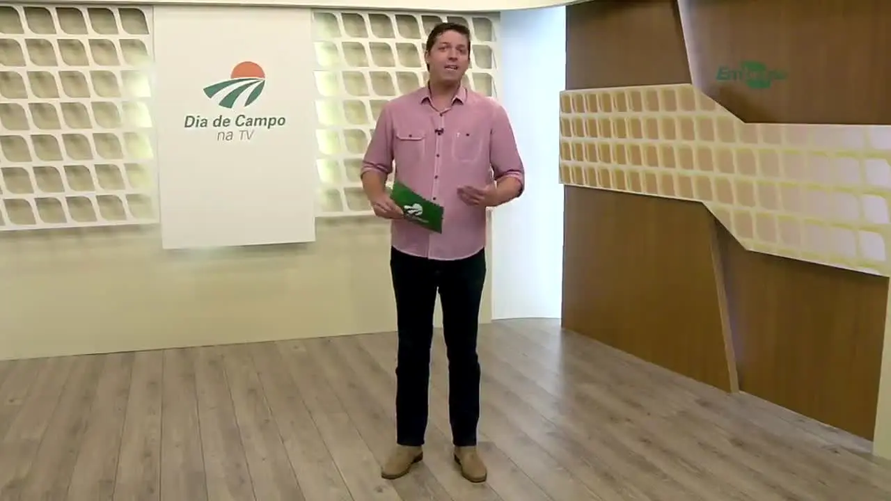TV Folha do Campo in diretta