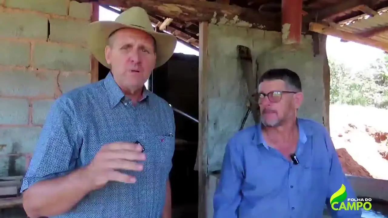 TV Folha do Campo na żywo