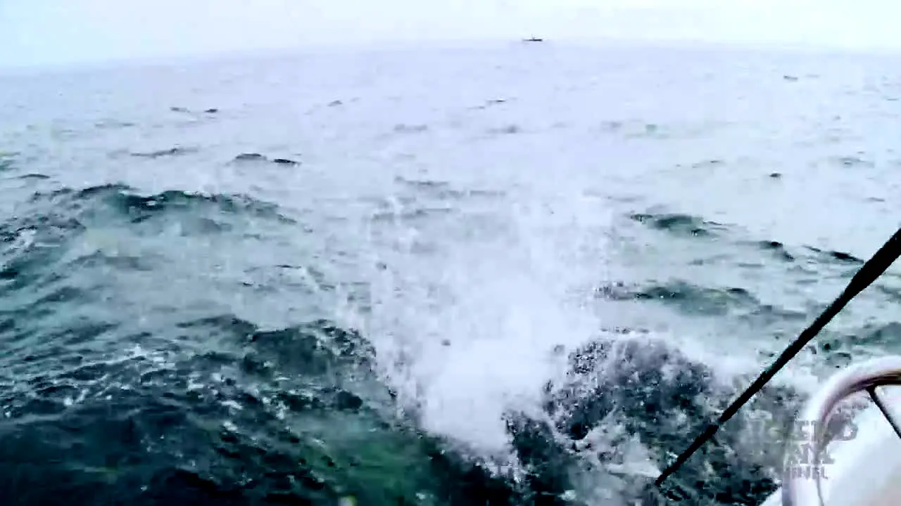 The Wicked Tuna Channel live