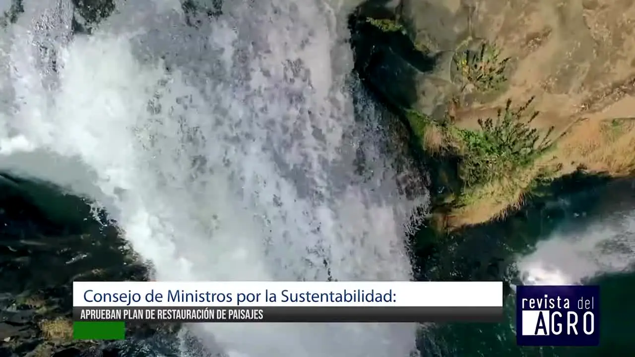 Campo Abierto TV · CL live