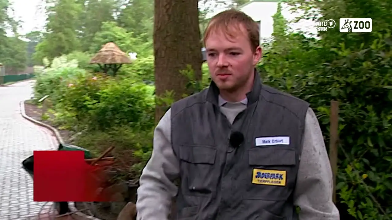 ARD Plus Zoo live